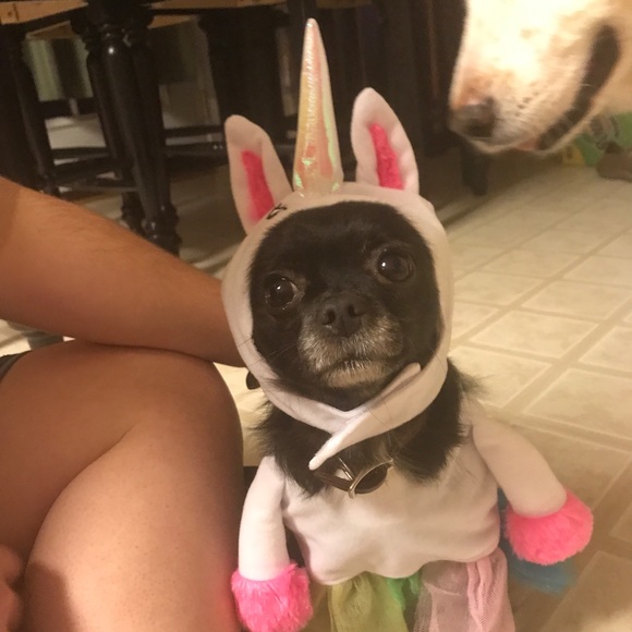 Meet your Posher, Kristi - Picture 2 of 8